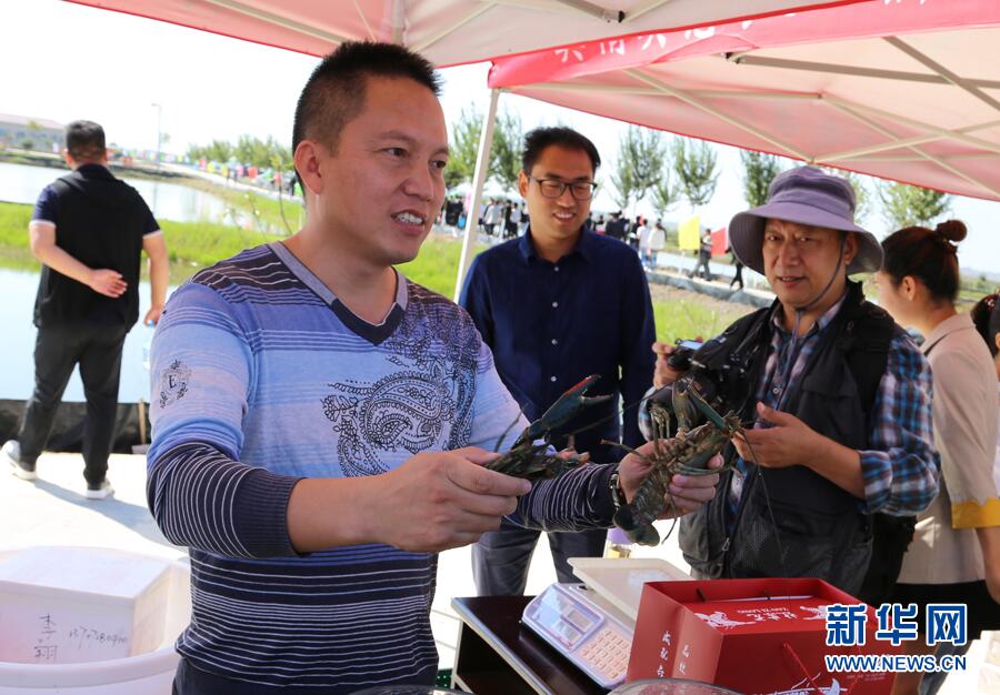 蝦兵蟹將“唱戲” 老河口欲打造鄂西北最大稻漁共作基地