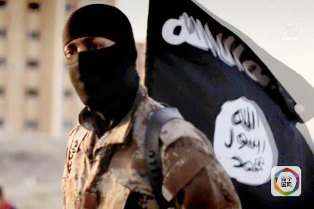 总部位于美国的国际恐怖组织搜索情报集团总监丽塔·卡茨也在社交