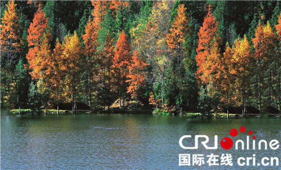 已过审【行游巴渝图文】石柱积极打造全国著名康养休闲生态旅游胜地