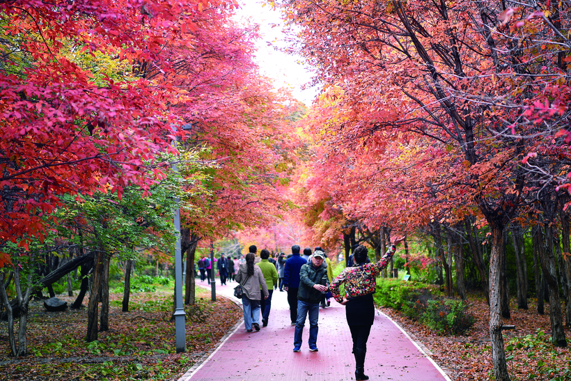 10月12日南湖公園舉辦“賞金秋紅葉 悅律動南湖”活動