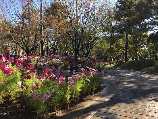 大柵欄京韻園二期亮相 3200平方米違建變街心花園