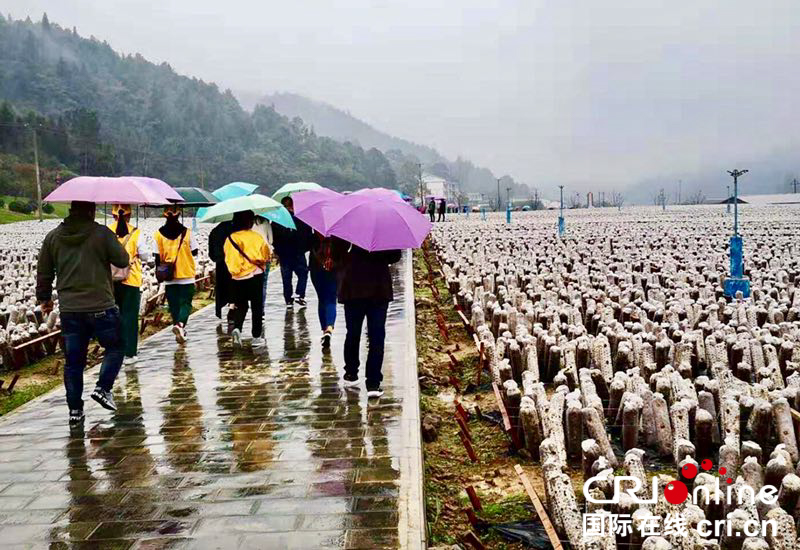 贵州铜仁德江推进乡村旅游“以旅促农”（组图）