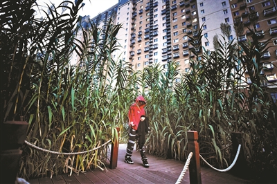 北京年內啟動建設19處城市森林