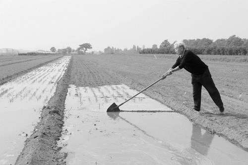 圖片默認標題_fororder_pitgroeh_500