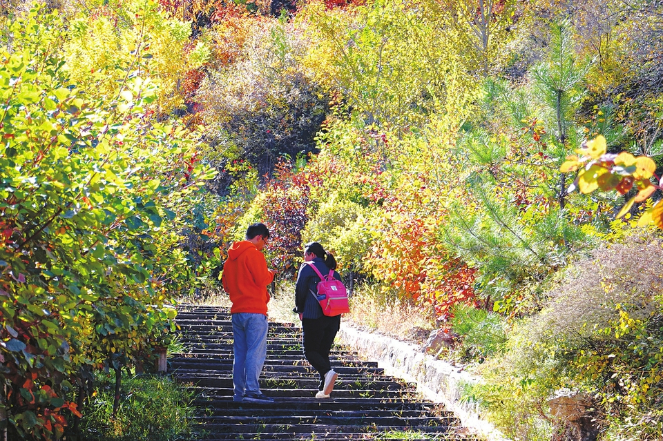 圖片默認標題_fororder_1