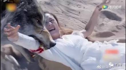 射杀放狼倒吊砍手!《楚乔传》节奏快 配角也很有料!