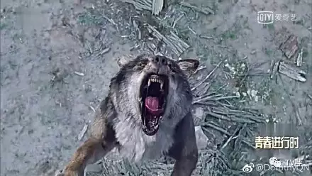 射杀放狼倒吊砍手!《楚乔传》节奏快 配角也很有料!