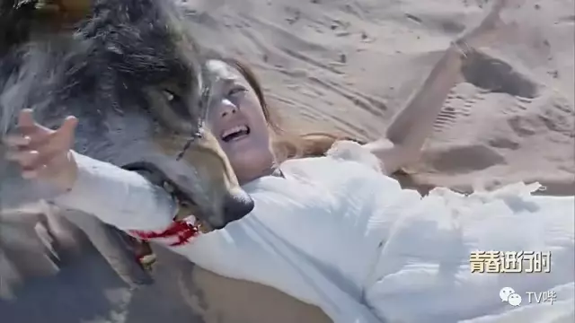 射杀放狼倒吊砍手!《楚乔传》节奏快 配角也很有料!