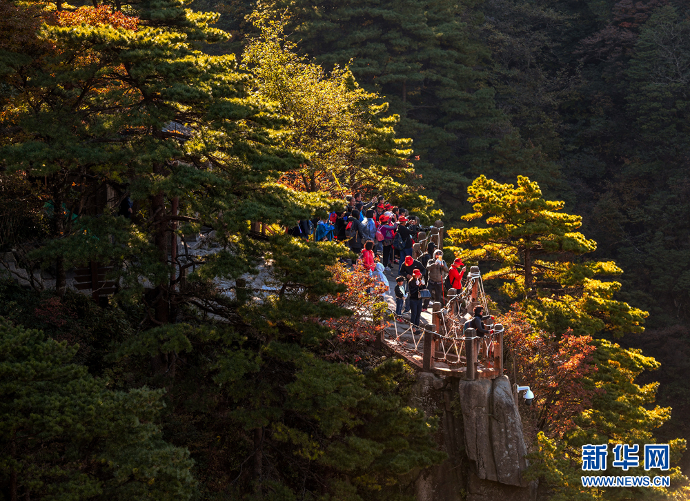 安徽：黄山进入最佳赏秋期