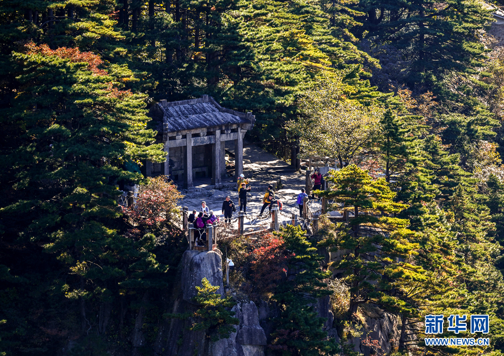 安徽：黄山进入最佳赏秋期