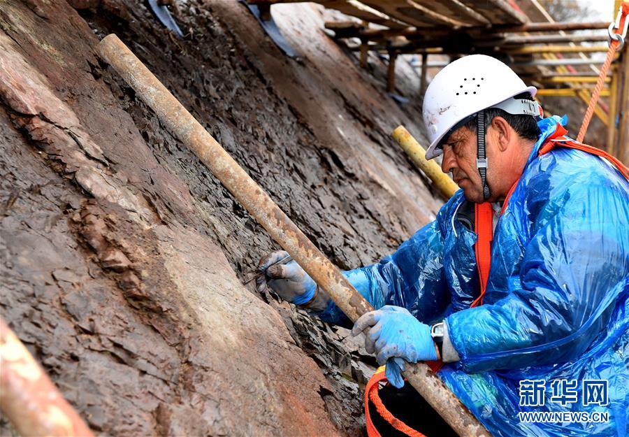 中希合作“保育”北京延慶恐龍足跡化石