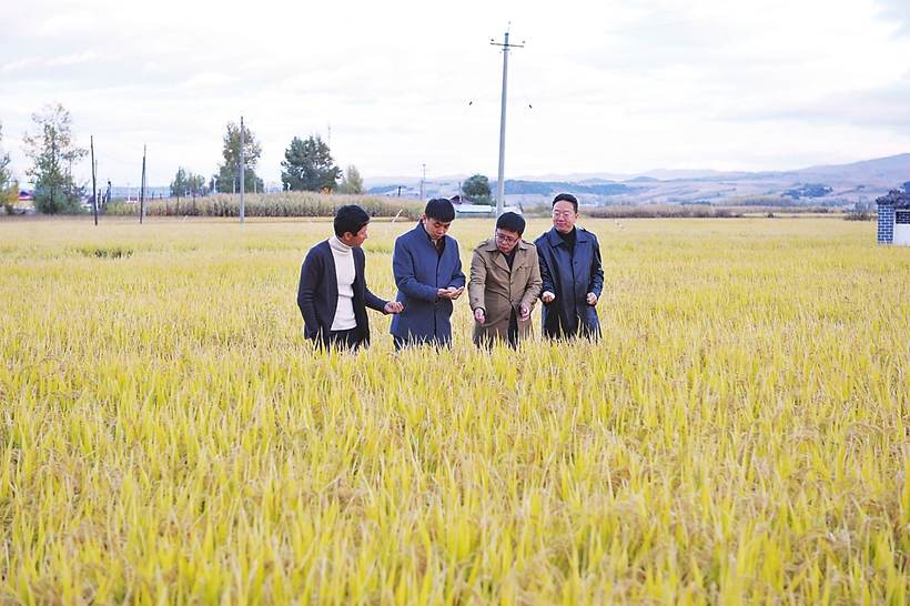 吉林省安监局帮扶和龙市西城镇脱贫纪实