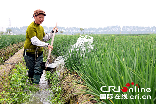 图片默认标题 图片默认标题