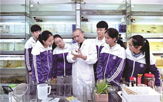 圖片默認標題 圖片默認標題