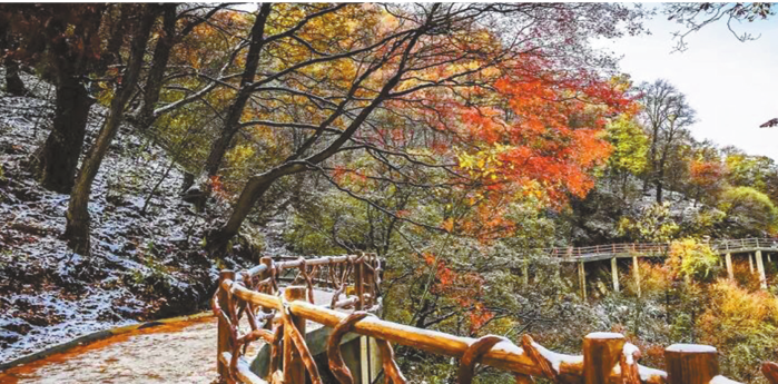 追赶超越铸就五彩华州