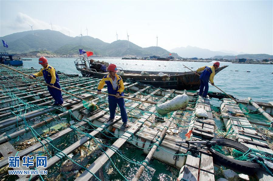 福建：清理海漂垃圾 守护蔚蓝海洋