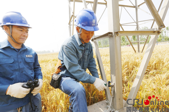 6月7日，国家电网山东滨州供电公司输电运检人员正在对110千伏木营线进行接地极检修，做好夏季防雷工作。