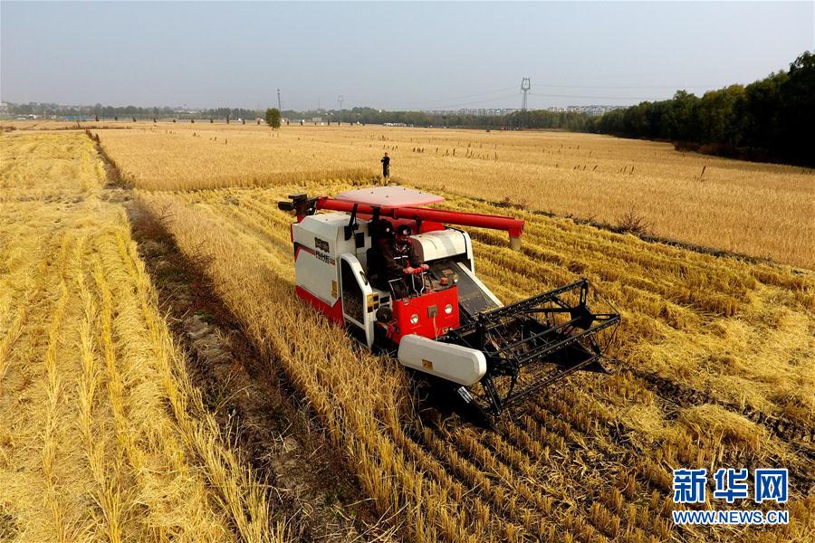 图片默认标题_fororder_5