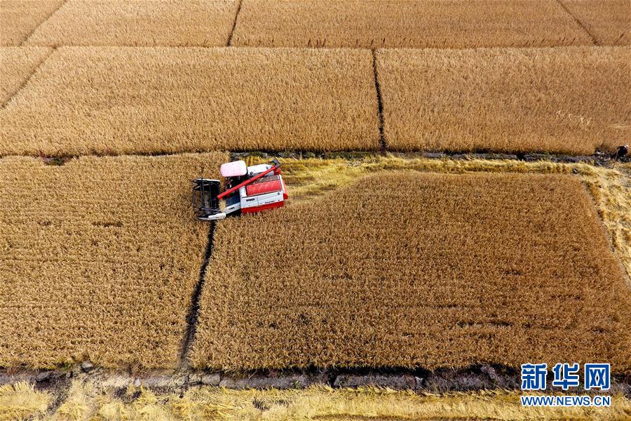 图片默认标题_fororder_3