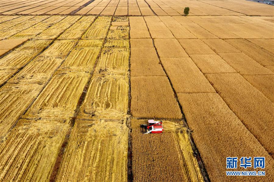 图片默认标题_fororder_6