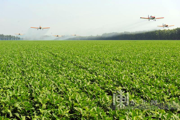 黑龙江省秸秆碎混还田技术地方标准通过专家审定 近日将发布实施