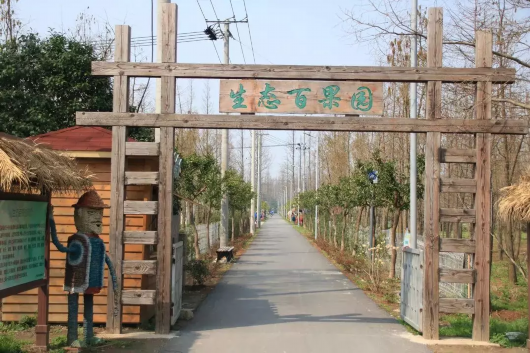上海超大郊野公園的遊玩指南 週末就約崇明長興島