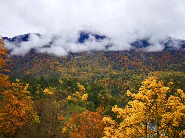 圖片默認標題_fororder_二郎山喇叭河風景區風光(二郎山喇叭河風景區