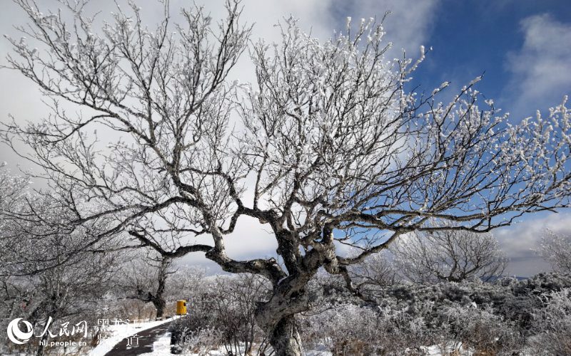 黑龙江凤凰山国家森林公园现十里雪凇雾凇景观