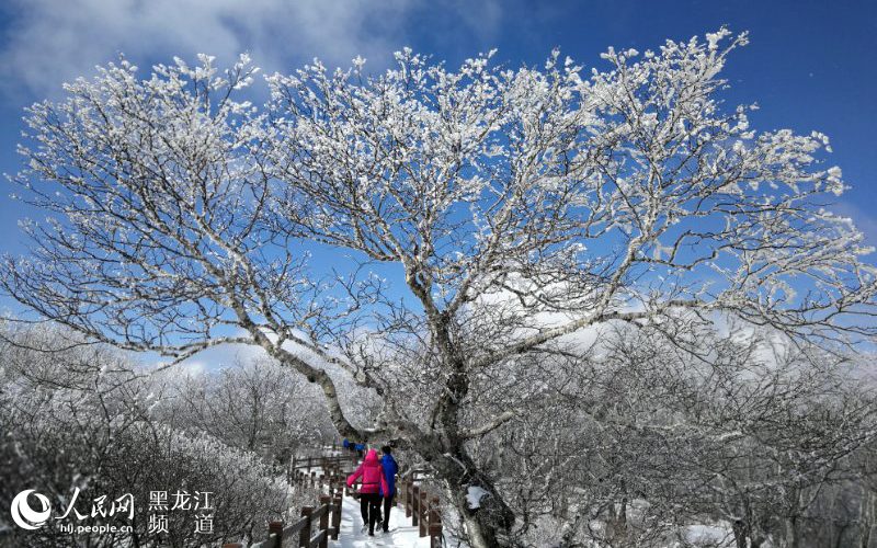 黑龙江凤凰山国家森林公园现十里雪凇雾凇景观