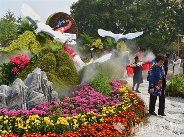 金菊滿園 280萬盆菊花邀你來賞