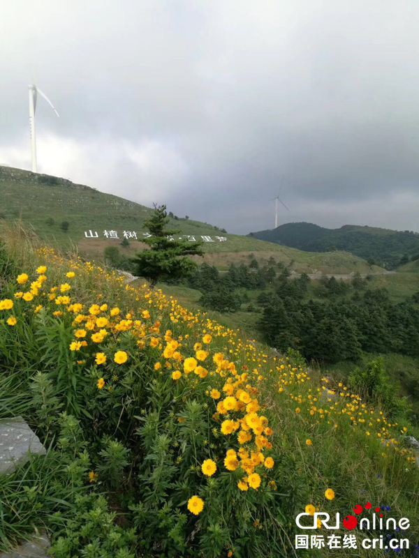 宜昌百里荒景區修建華中地區最長玻璃水滑道