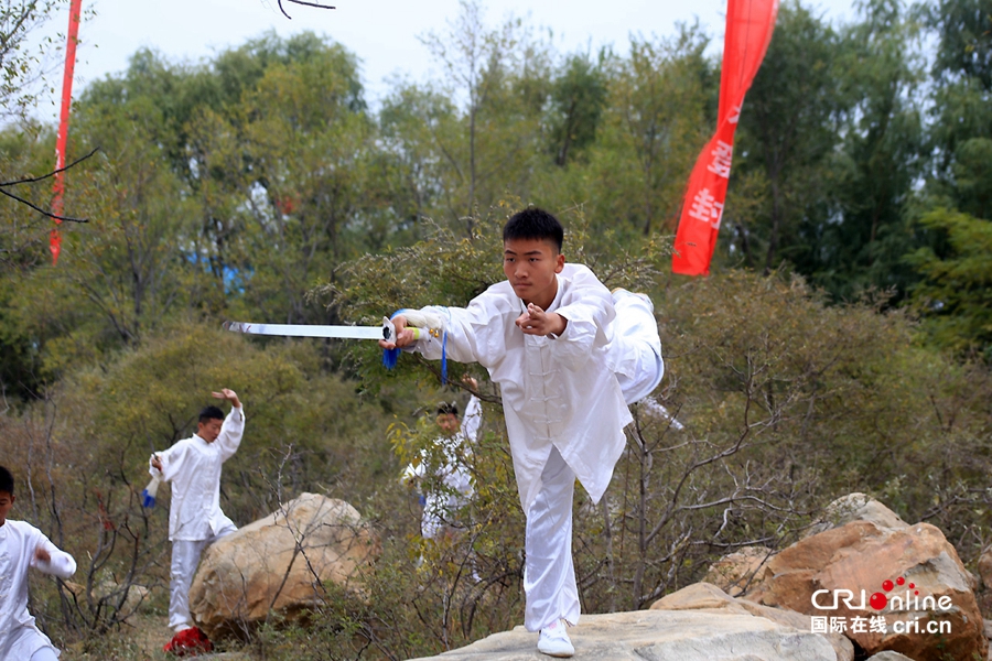 【等待通过】【焦点图】【移动端焦点图】第十二届郑州国际少林武术节开幕