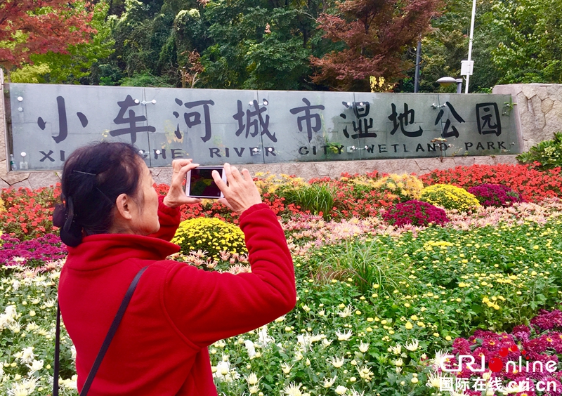 （已过审、焦点图、市州 贵阳、移动版轮播图、客户端贵州轮播图）2018贵阳阿哈湖湿地公园大型菊花展点亮林城秋色（组图）