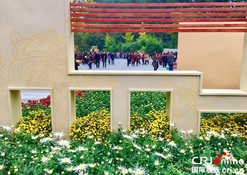 （已过审、焦点图、市州 贵阳、移动版轮播图、客户端贵州轮播图）2018贵阳阿哈湖湿地公园大型菊花展点亮林城秋色（组图）