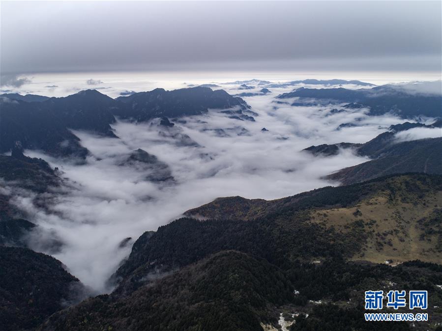 雲霧神農架