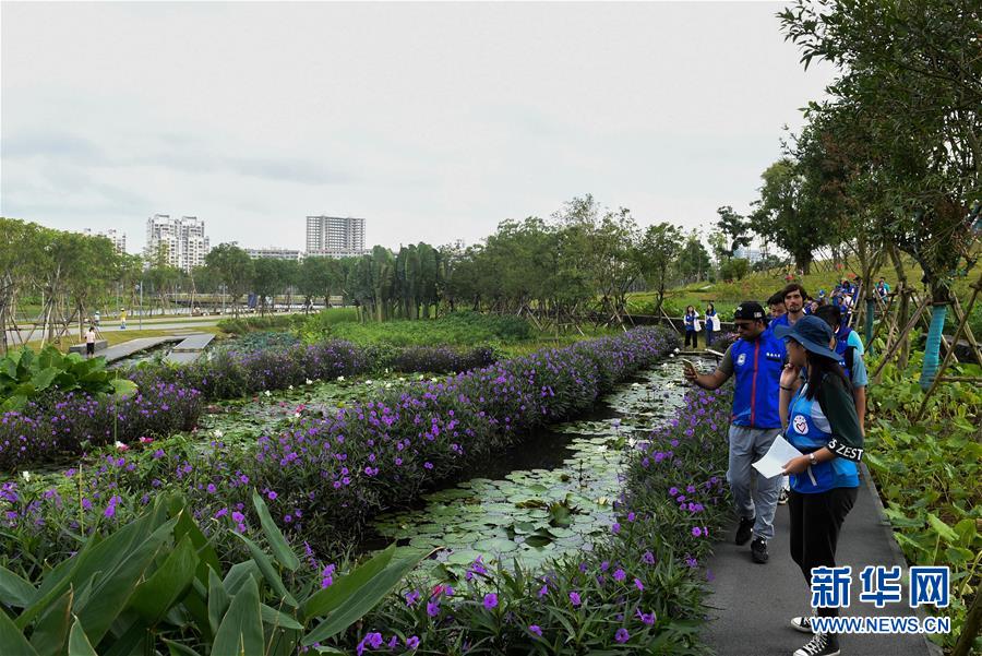 海口：國際志願者走進濕地