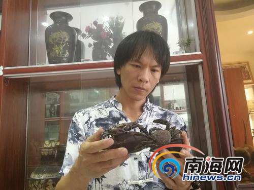 央視播出海南“非遺”紀錄片 聚焦黎陶黎錦椰雕 央視播出海南“非遺”紀錄片 聚焦黎陶黎錦椰雕