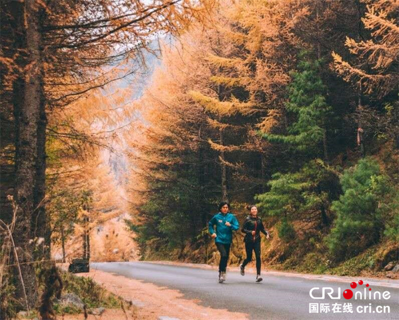 神農架森林國際越野跑在紅坪鎮鳴槍開賽