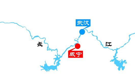 湖北咸宁：两百里林海护长江安澜