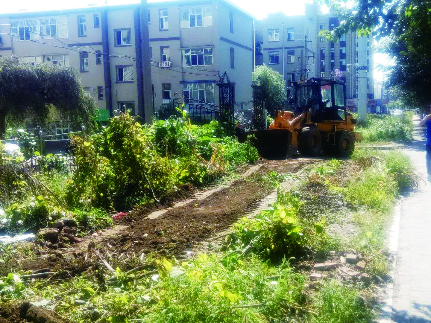 長春汽開區：努力建設宜居宜業的汽車家園