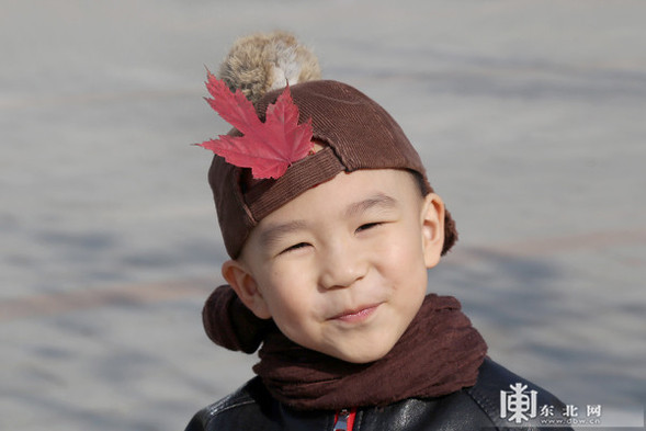 深秋落葉美 哈工程等校園成秋遊網紅地 深秋落葉美 哈工程等校園成秋遊網紅地