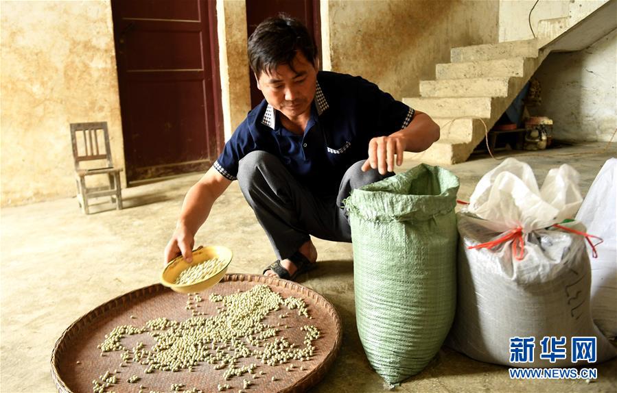 廣西:山村“空店”交易紅紅火火 廣西:山村“空店”交易紅紅火火