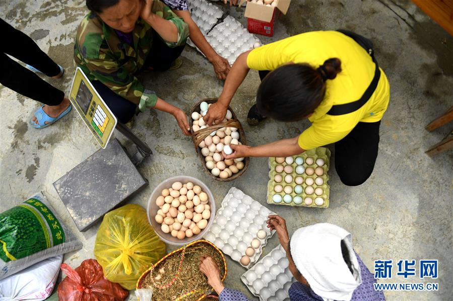 廣西:山村“空店”交易紅紅火火 廣西:山村“空店”交易紅紅火火