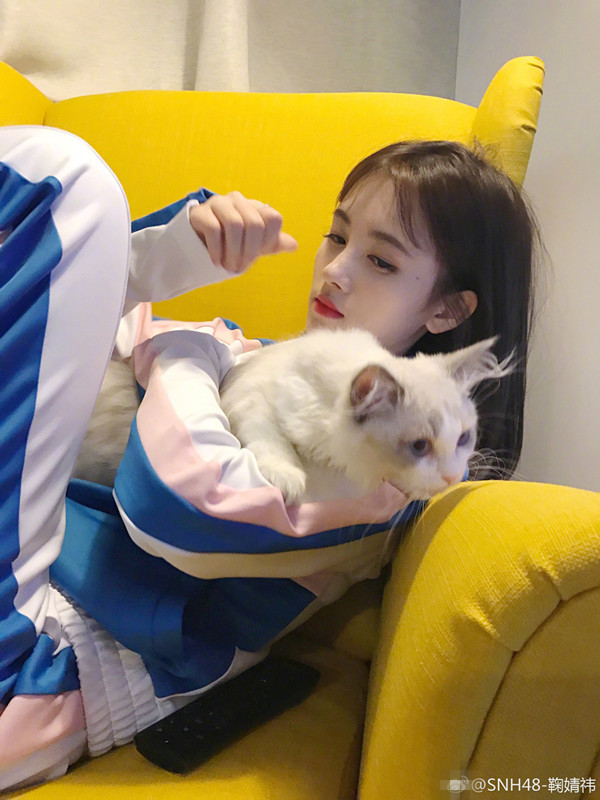 “四千年美女”鞠婧祎抱猫 谁更萌？_娱乐_腾讯网
