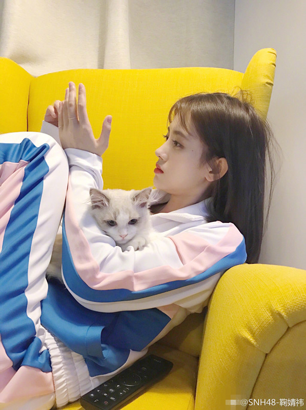 “四千年美女”鞠婧祎抱猫 谁更萌？_娱乐_腾讯网