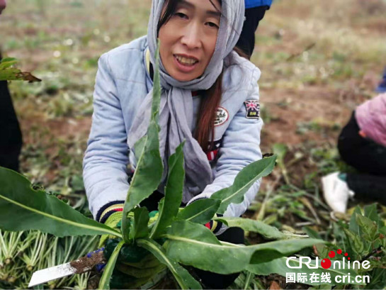 陕西中医药大学扶贫实录: 产学研结合 探求中医药扶贫新效应