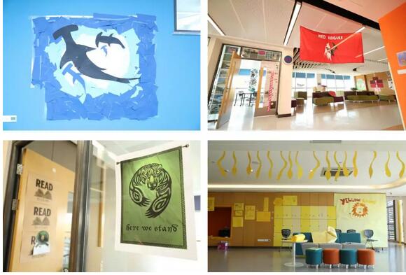 从公立学校小透明，到双语学校拿6位数奖学金，是种什么样的体验？