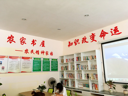 江西省赣州市安远县凤山乡东河村电子商务服务站的"农家书屋"