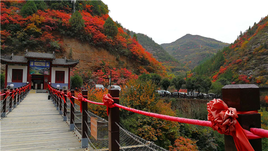 “红叶染金秋•醉美宝鸡游”  走进童话世界 邂逅美丽秋景