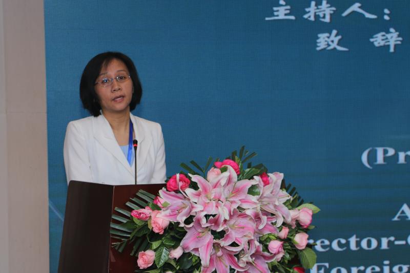 中国外交部军控司副司长董志华致辞
